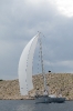 Alfa auto Sailing Team