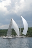 Alfa auto Sailing Team